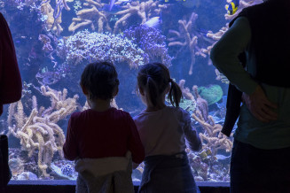 aquarium_enfants.jpg