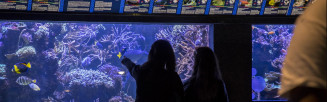 slide aquarium