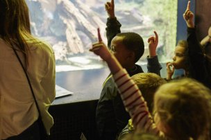 Enfants à l'aquarium