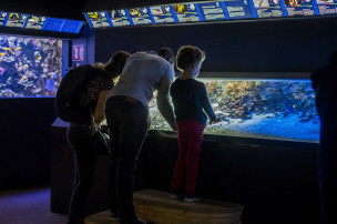 Public à l'aquarium