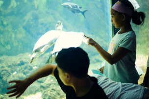 Enfants dans l'Aquarium