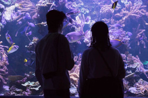 Deux personnes devant un aquarium