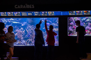 Visiteurs dans l'Aquarium