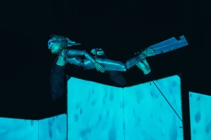 Marionnette du spectacle Récif