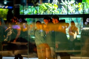 Visiteurs dans l'Aquarium