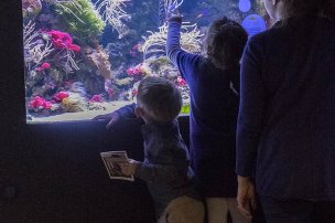 enfants aquarium