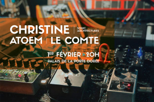 Affiche concert Christine 01/02/2019