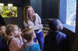 Atelier enfants dans l'Aquarium tropical