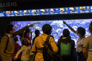 Aquarium tropical. Photo Anne Volery