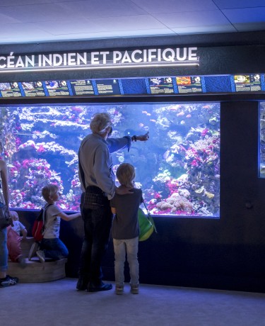 Aquarium tropical © Anne Volery