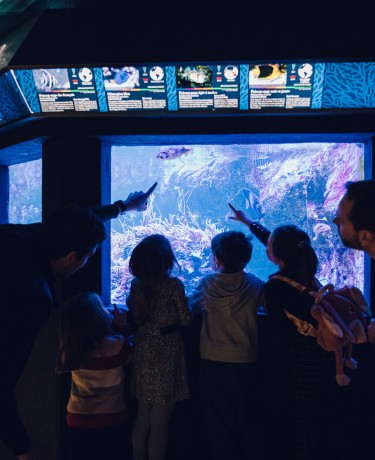 Famille dans l'Aquarium