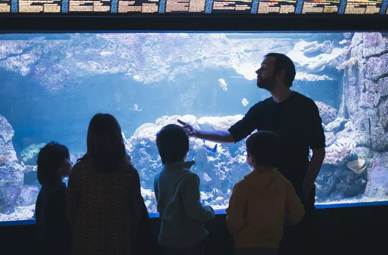 Enfants à l'aquarium