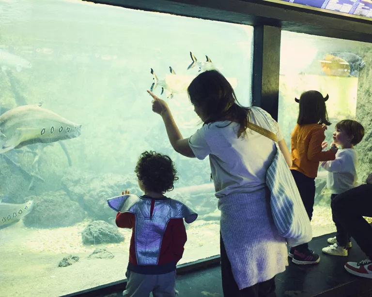 Public à l'Aquarium