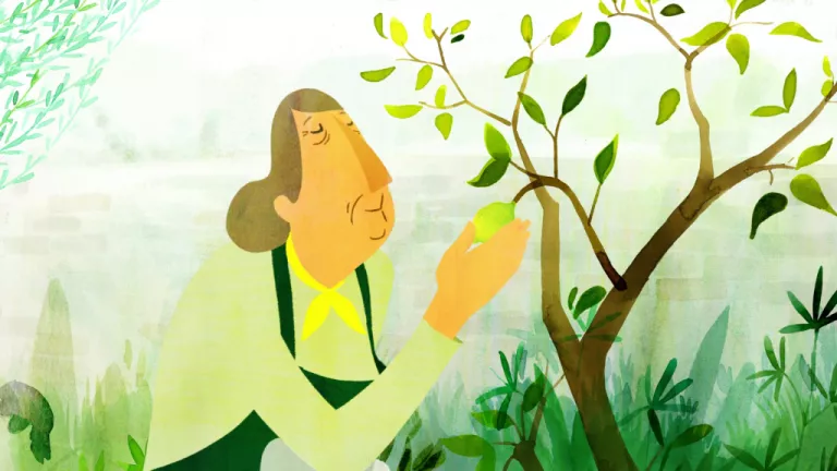 Visuel du film "Pieds verts" d'Elsa Duhamel, une femme qui touche une feuille d'arbre