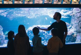 Visite de l'Aquarium