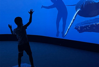 Enfant en interaction avec une baleine du Spot