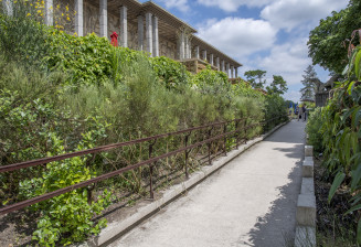 Rampe d'accessibilité au Palais