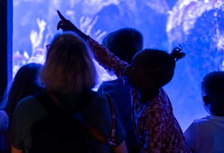 Enfants dans l'Aquarium