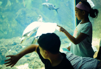 Enfants dans l'Aquarium