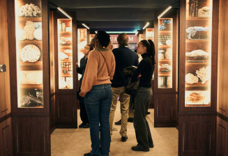 Vue de l'exposition Il faut sauver le Joba Mena, entrée de l'expo