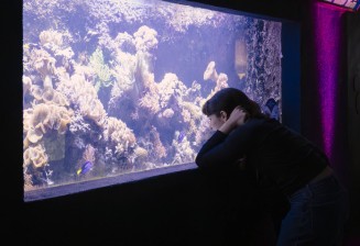 Nocturne à l'Aquarium