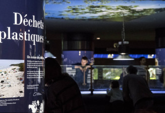Vue de l'Aquarium
