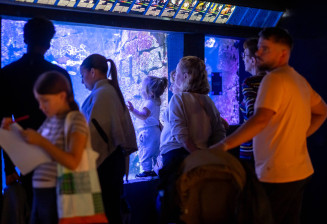Public à l'Aquarium tropical