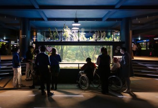 Personnes devant les bacs de l'Aquarium tropical