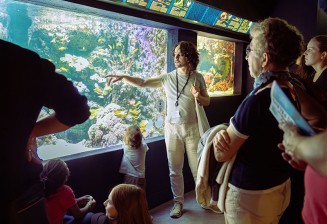 Visite de l'Aquarium