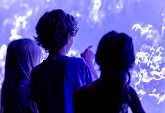 Photo d'enfants devant un bac à l'Aquarium tropical