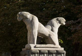 Les lionnes