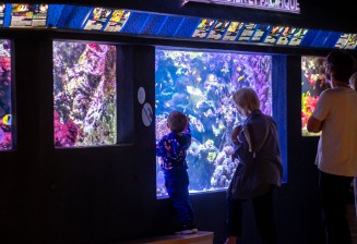salle_aquarium_2024