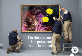 aquarium-fin-travaux-poissons.jpg