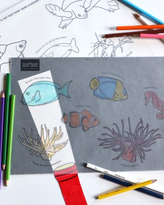 Atelier il fait tout noir, dessins de poissons sur une feuille