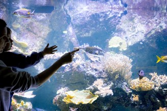 Photo d'un enfant et d'une adulte à l'Aquarium tropical