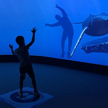 Enfant en interaction avec une baleine du Spot