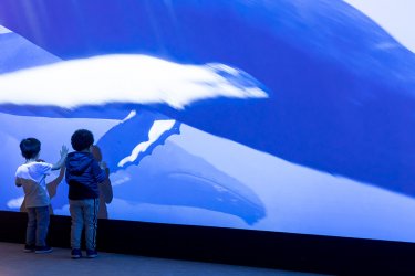 Photo de deux enfants devant le Spot de l'Aquarium