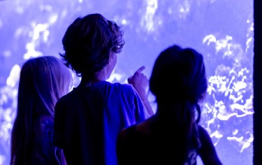 Photo d'enfants devant un bac à l'Aquarium tropical