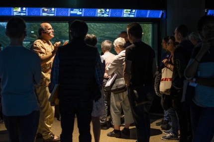Visite aquarium