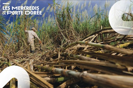 Affiche du Mercredi de la Porte Dorée sur le cycle de la mémoire et de l'esclavage.