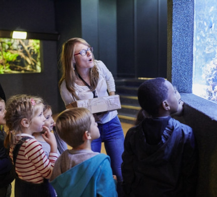 Atelier enfants dans l'Aquarium tropical